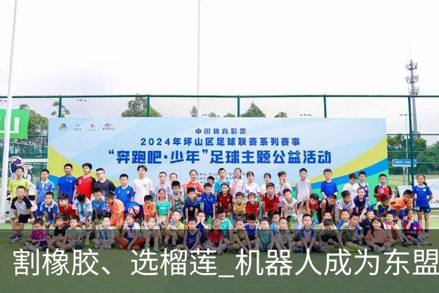 割橡胶、选榴莲 机器人成为东盟市场“新宠” 各国释放明确需求信号
